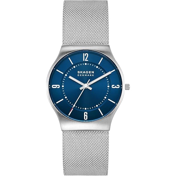 Amazon.co.jp: [スカーゲン] 腕時計 SKAGEN SKW6007 シルバー ブラック